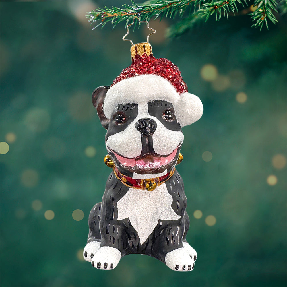 Frenchie the Friend – Christopher Radko