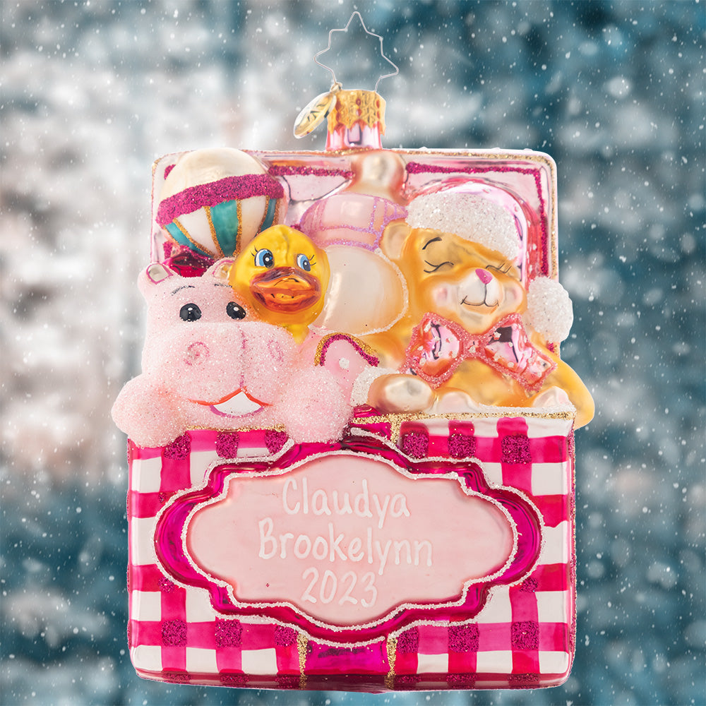 Trunk Of Toys Baby Girl JANUARY DELIVERY