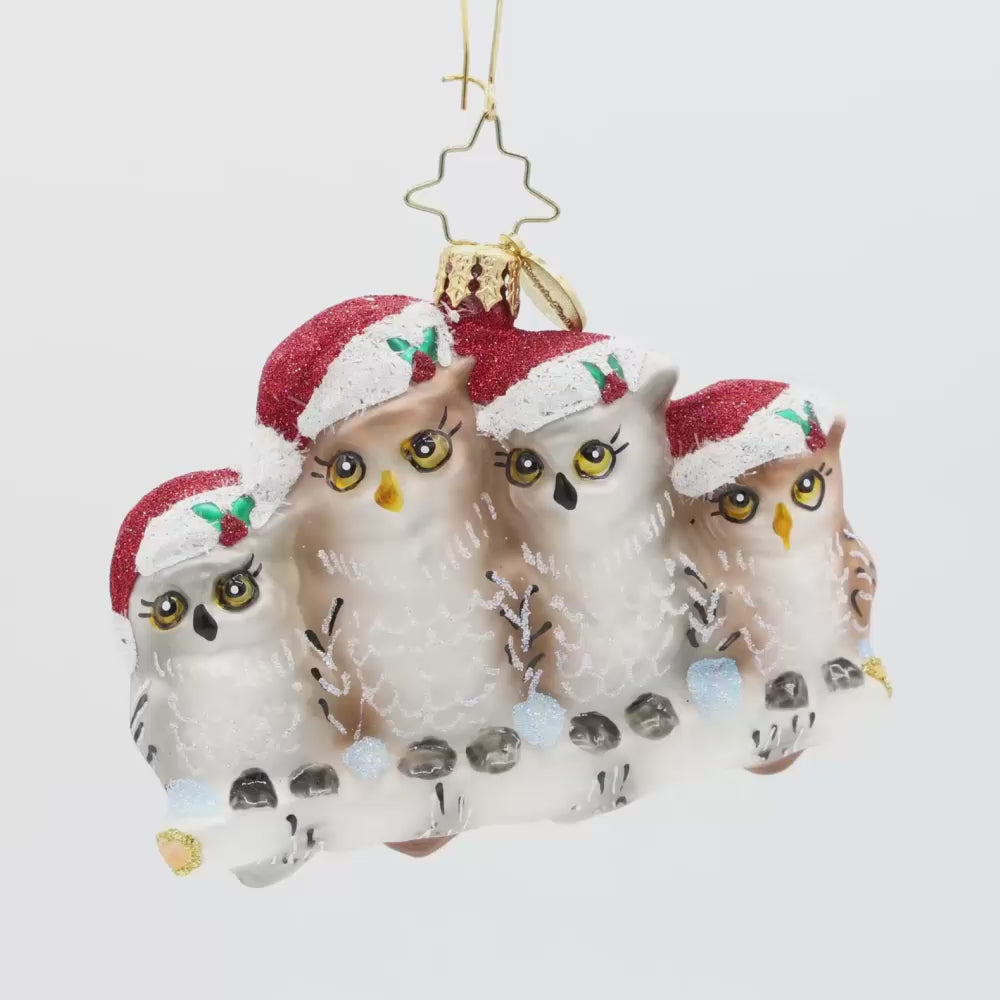 Its Owl In The Family Gem