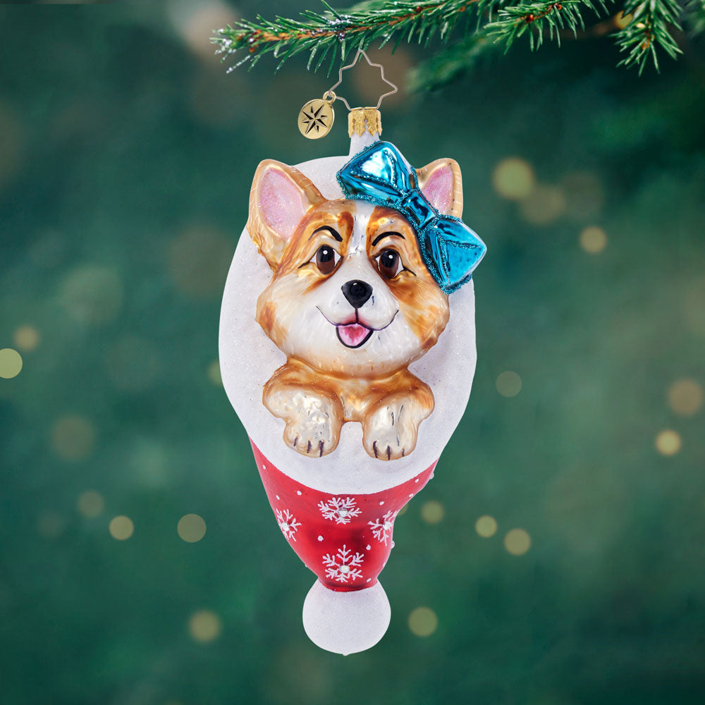 Front image - Cutie Corgi Claus - (Dog ornament)