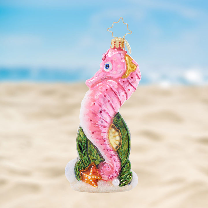 Front image - Sally Seahorse - (Seahorse ornament)