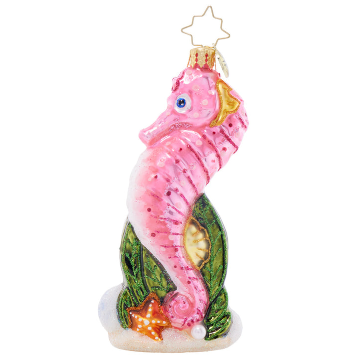 Front image - Sally Seahorse - (Seahorse ornament)