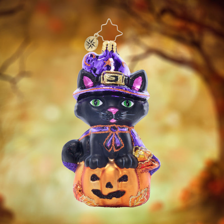Front image - Witchy Whisker - (Halloween Black cat ornament)