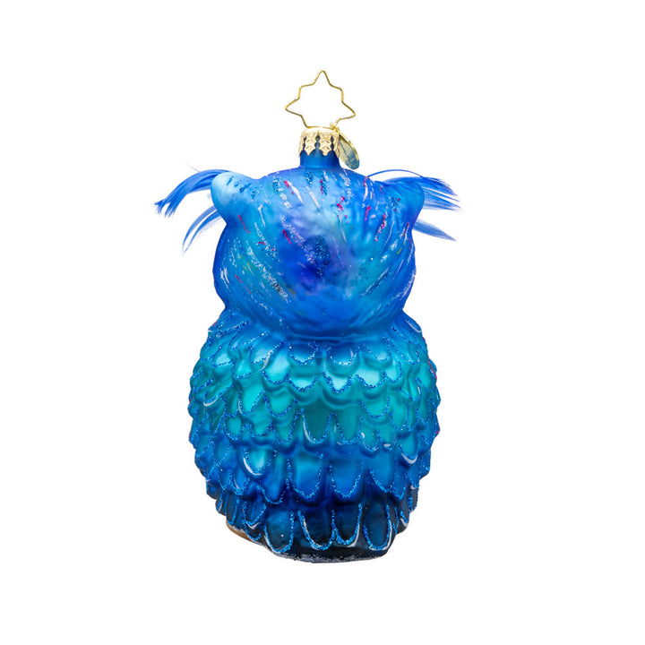 Regal Feathered Friend ornament. This owl features stunning peacock feathers and a wise expression. View of back.
