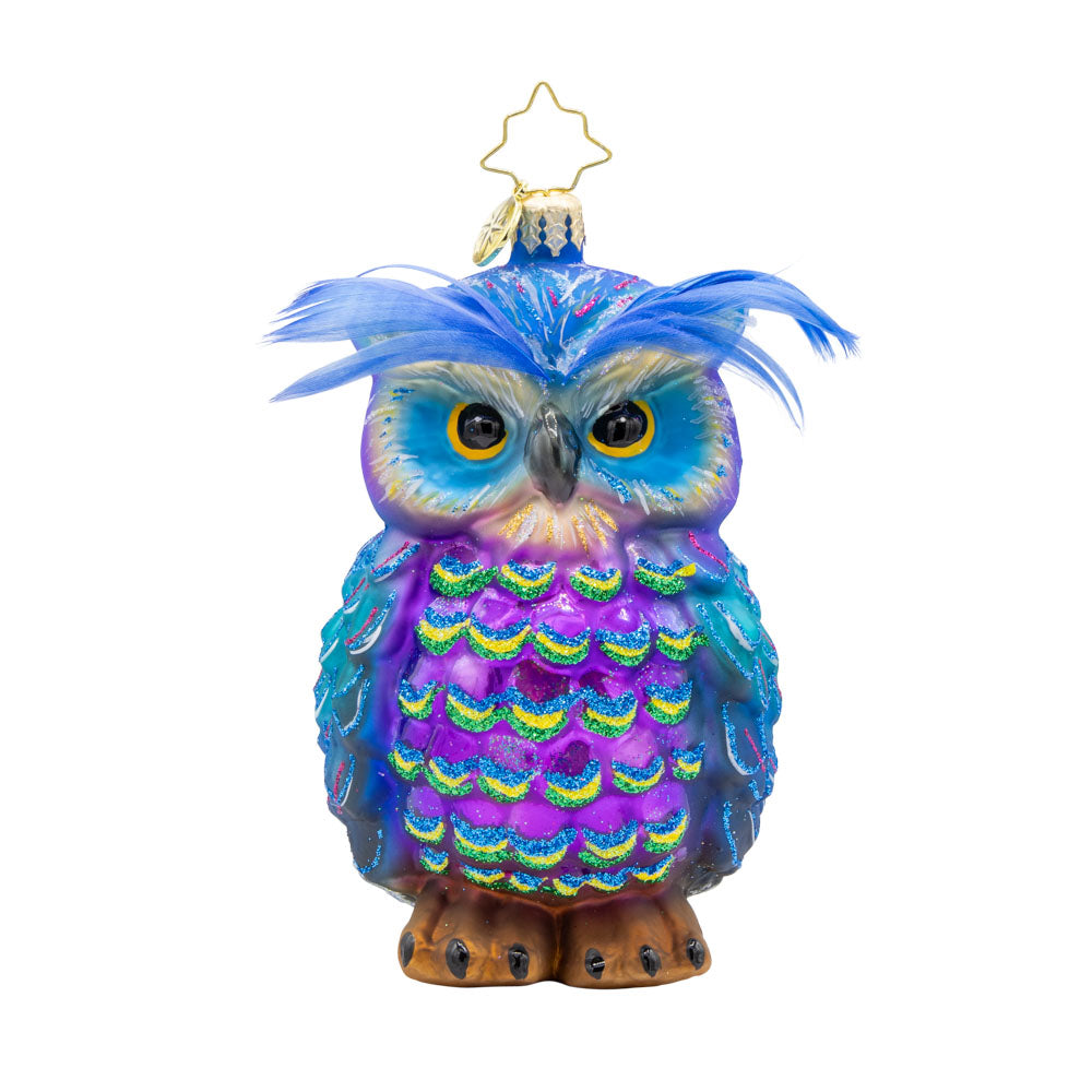 Regal Feathered Friend ornament. This owl features stunning peacock feathers and a wise expression. View of front. 