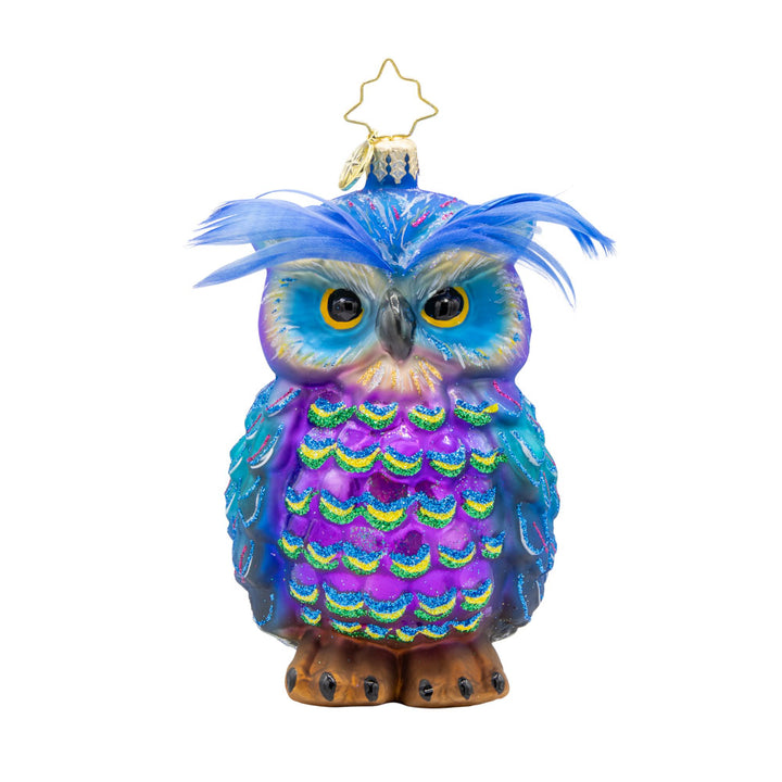 Regal Feathered Friend ornament. This owl features stunning peacock feathers and a wise expression. View of front. 
