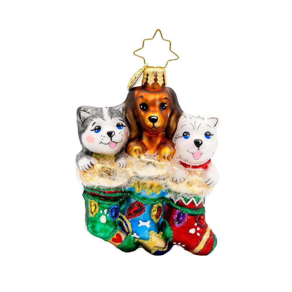 Puppy Presents Gem ornament. Three pups are seen here snuggled in festive stockings. View of front.