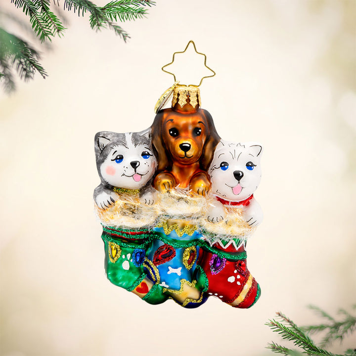 Puppy Presents Gem ornament. Three pups are seen here snuggled in festive stockings. View of front.