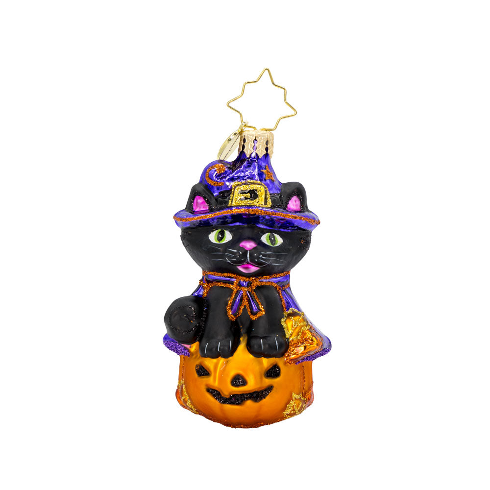 Witchy Whiskers Gem ornament. A black cat wears a purple witches' hat and cape, sitting atop a jack-o-lantern. View of front. 