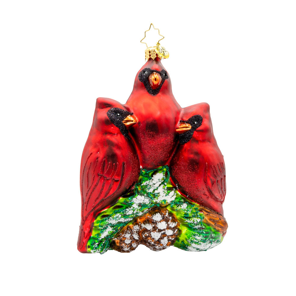 Cardinal Garden Greetings ornament. These cardinal birds are perched on a magnolia tree, with their shiny beaks and sparkling eyes. View of front.