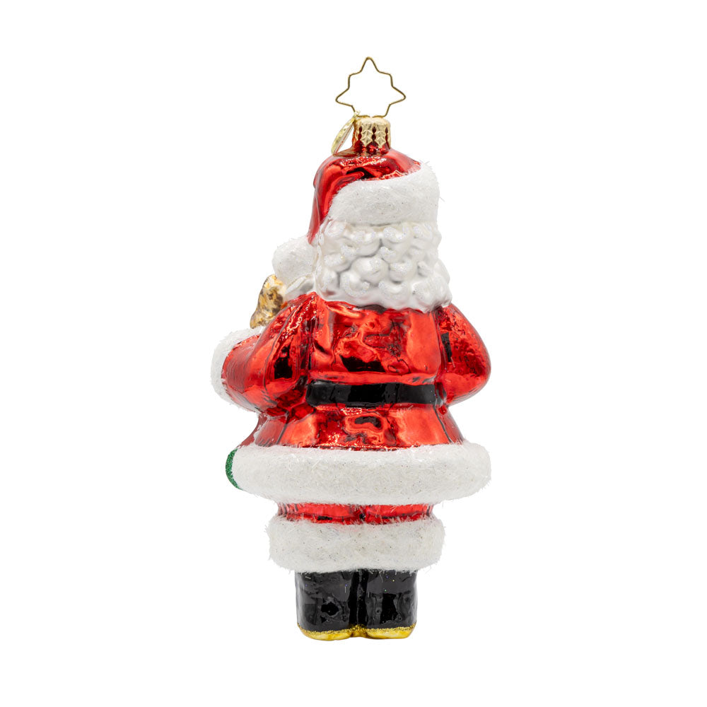 Fur-ever Friends ornament. Features a jolly Santa Claus surrounded by cuddly puppies and kittens in stockings. The stockings have "foster" written across them. View of back.