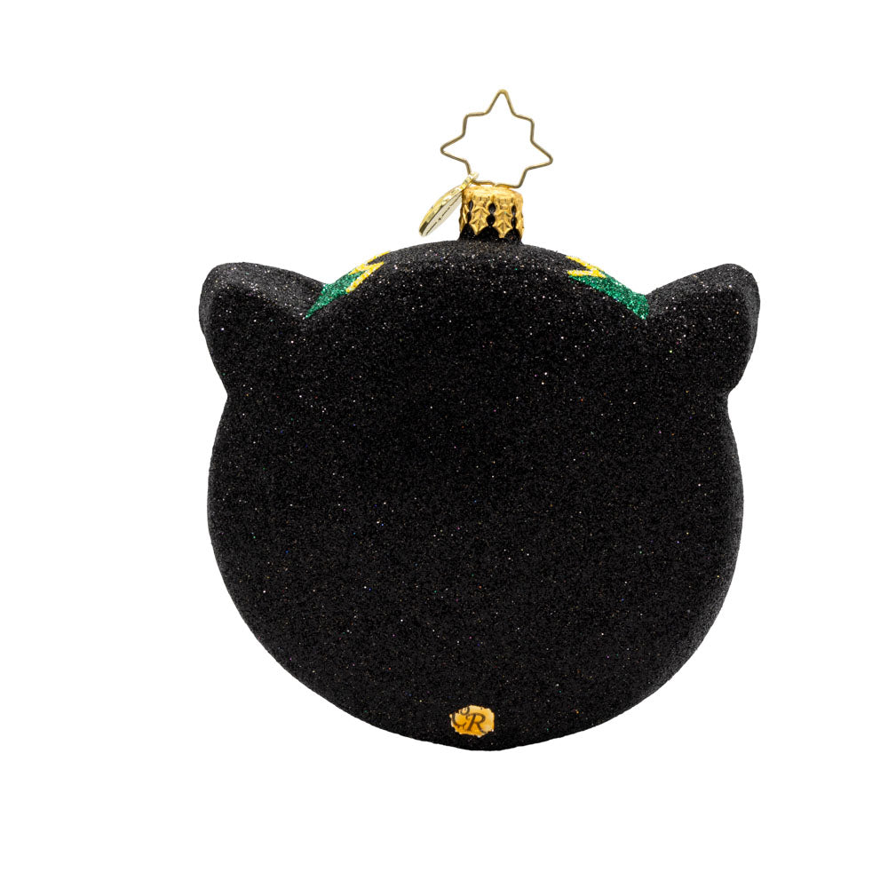 Hoot of the Night ornament. This owl features spooky eyes, vibrant colors of glittering black, yellow, orange, and green. View of back.