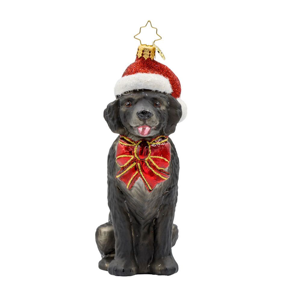 Loyal Lab ornament. A black dog with a Santa hat perched atop their head. View of front.