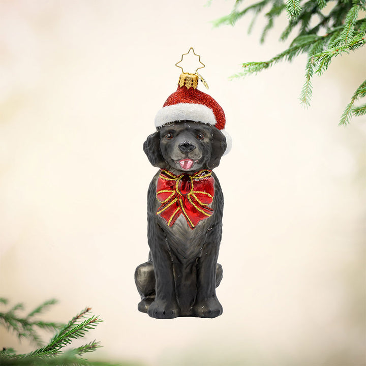 Loyal Lab ornament. A black dog with a Santa hat perched atop their head. View of front.