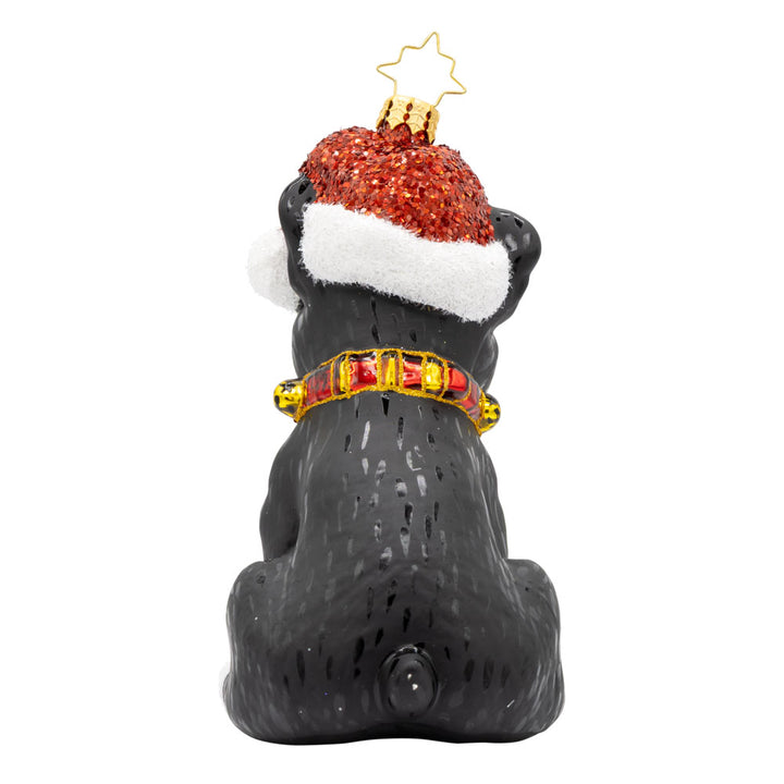 Frenchie the Friend
