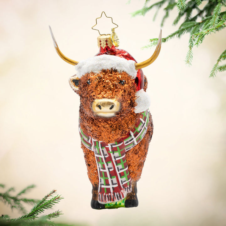 Highland Holiday