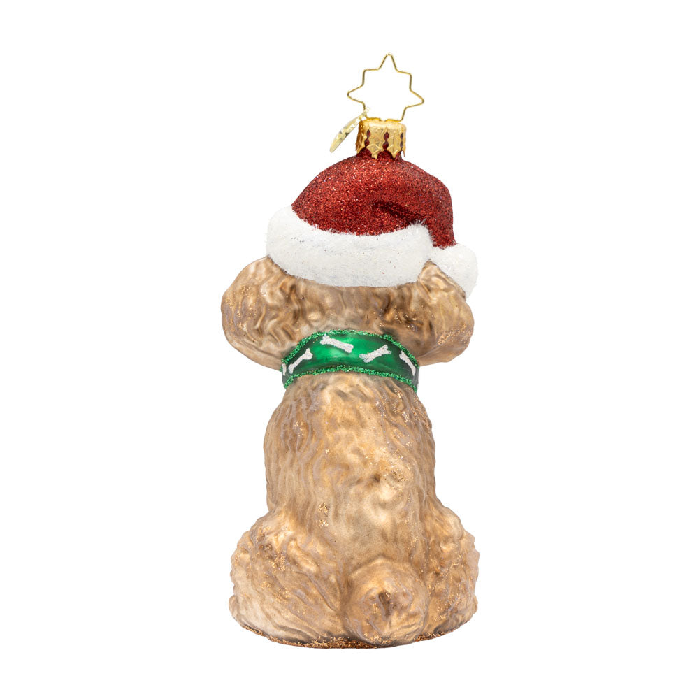 The Posh Poodle