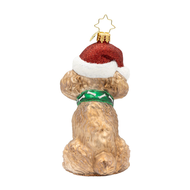 The Posh Poodle