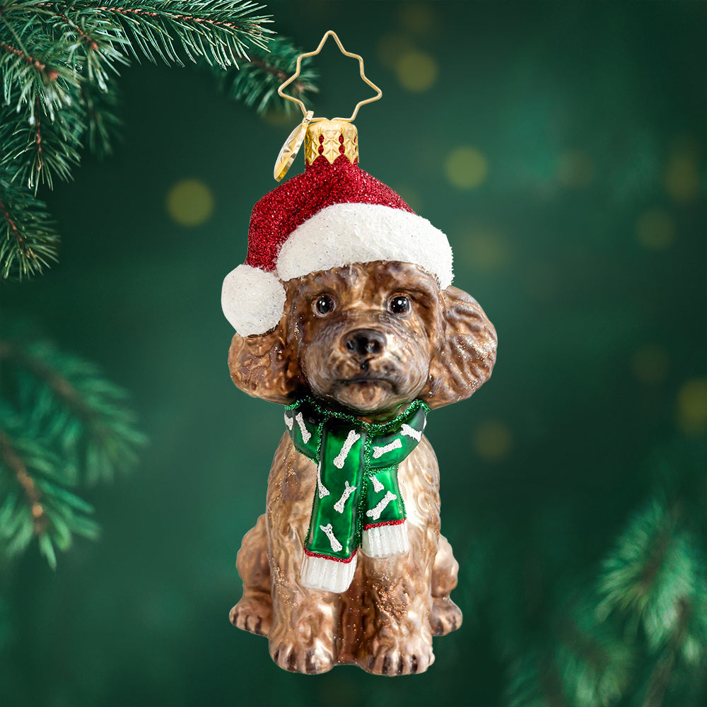The Posh Poodle