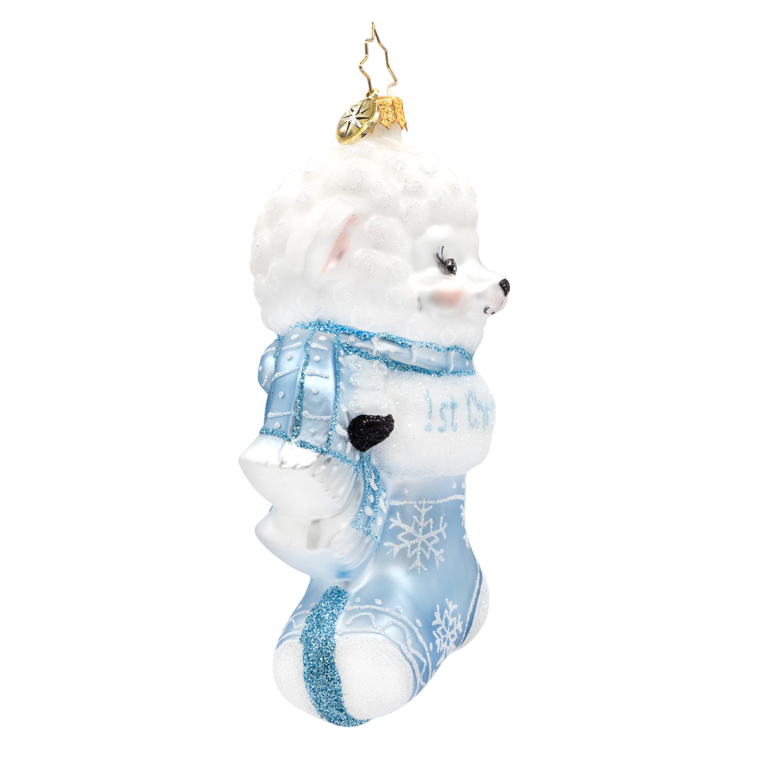 A Snowy Blue First Christmas