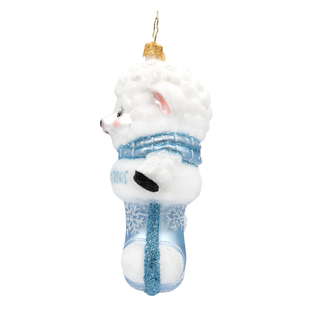 A Snowy Blue First Christmas