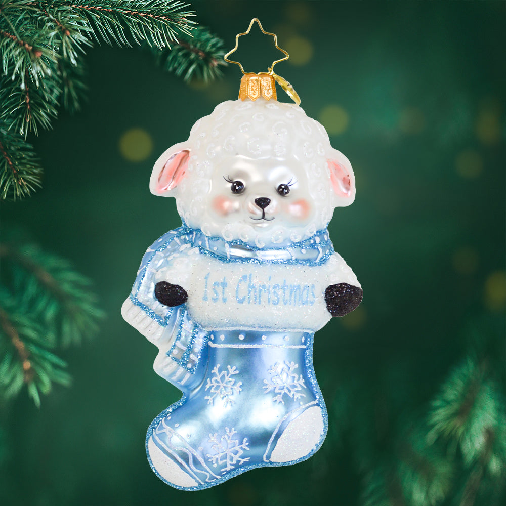A Snowy Blue First Christmas