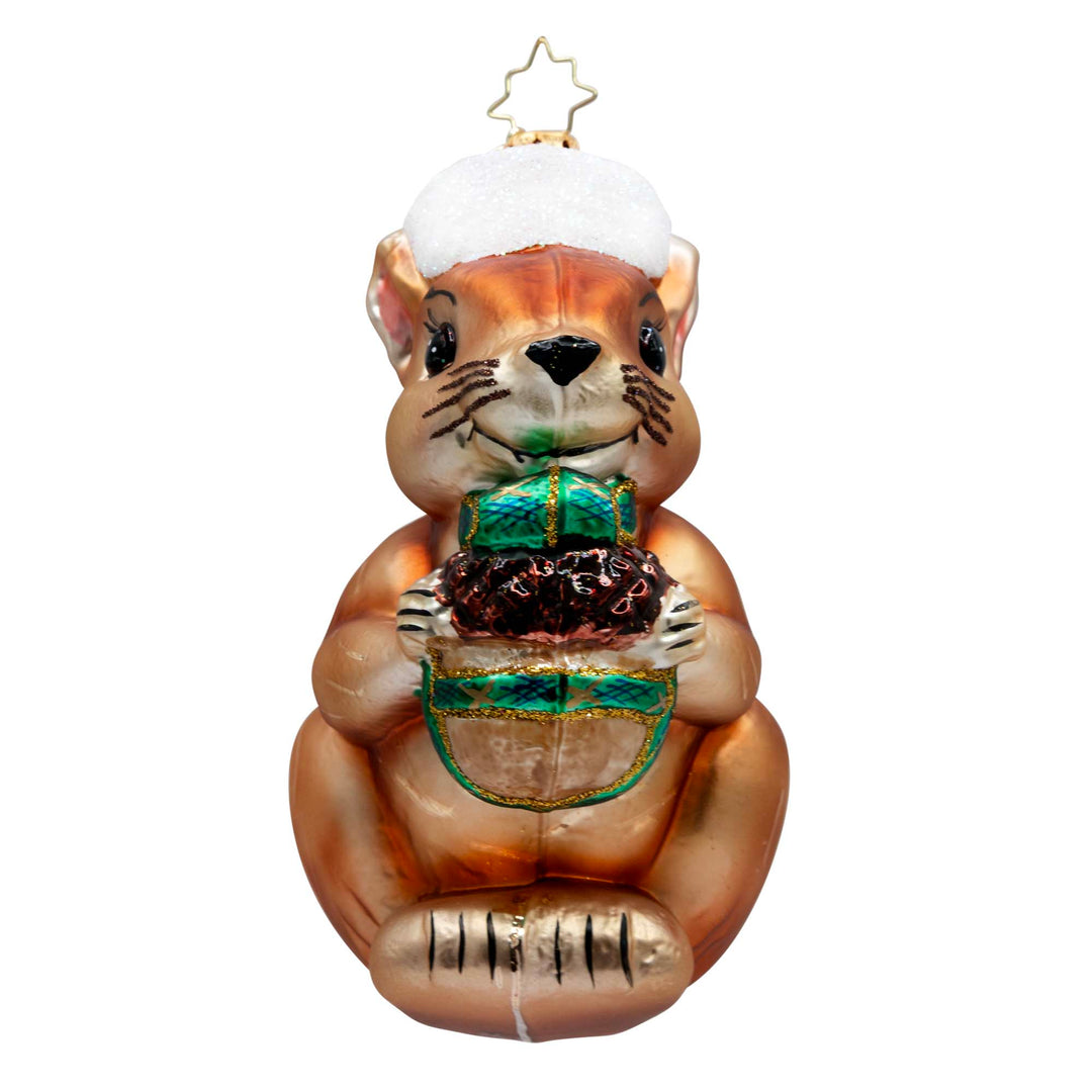 Nutty Christmas