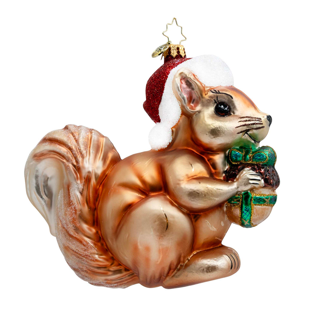 Nutty Christmas