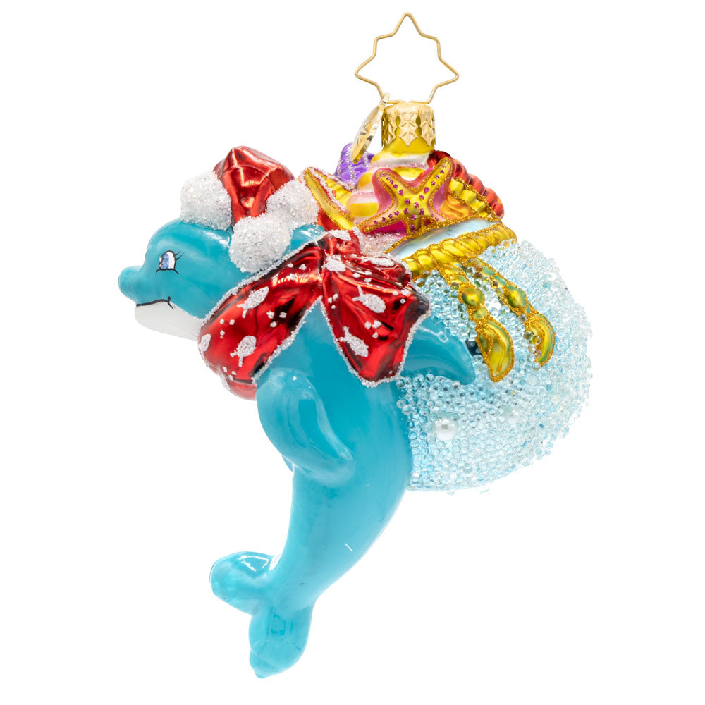Holiday Splash