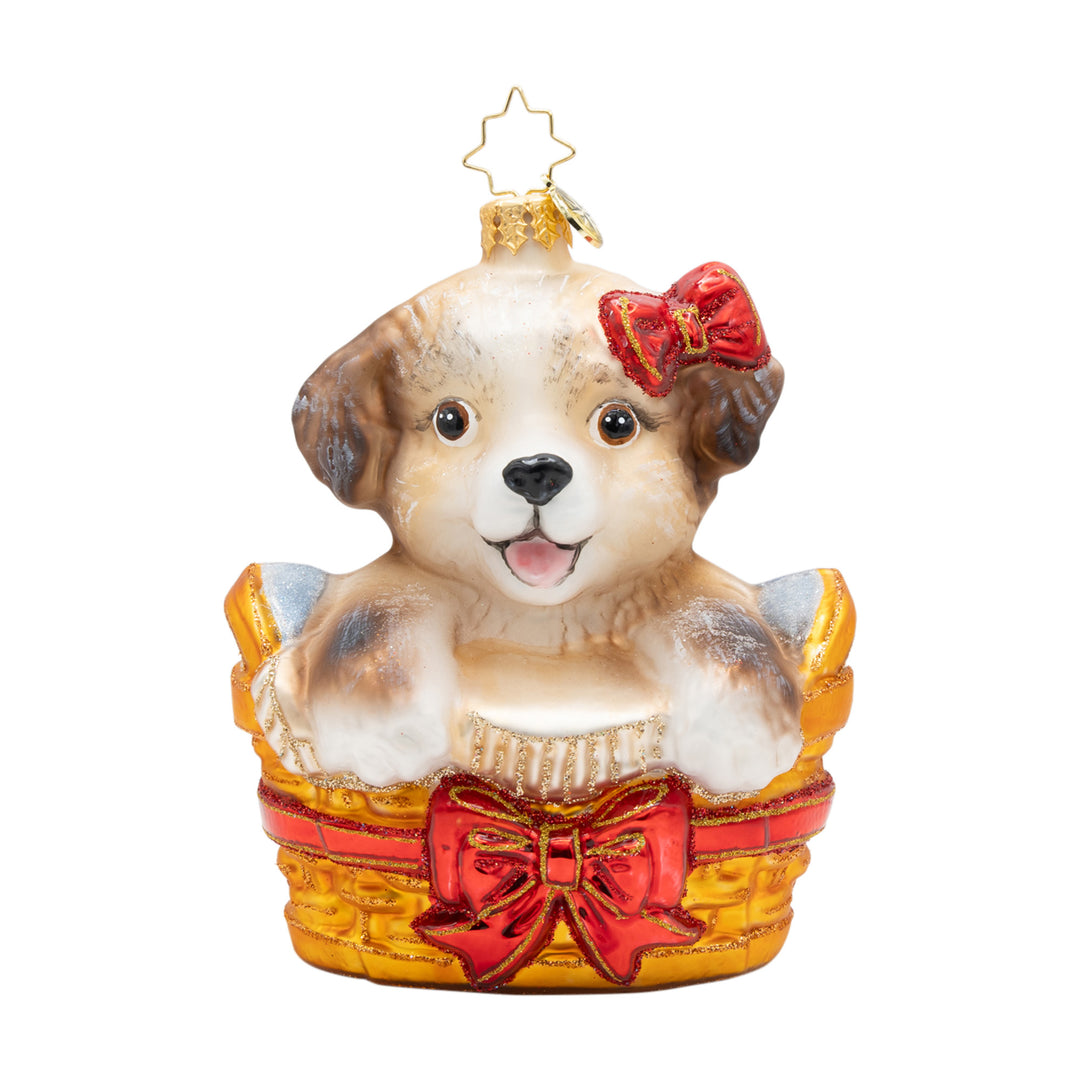 Basket of Hope