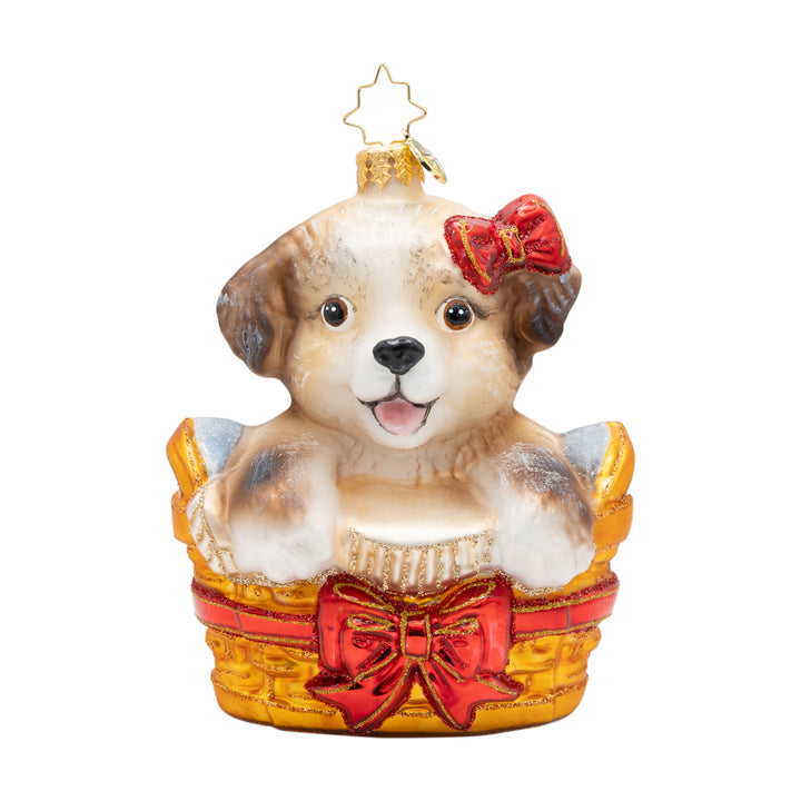 Basket of Hope