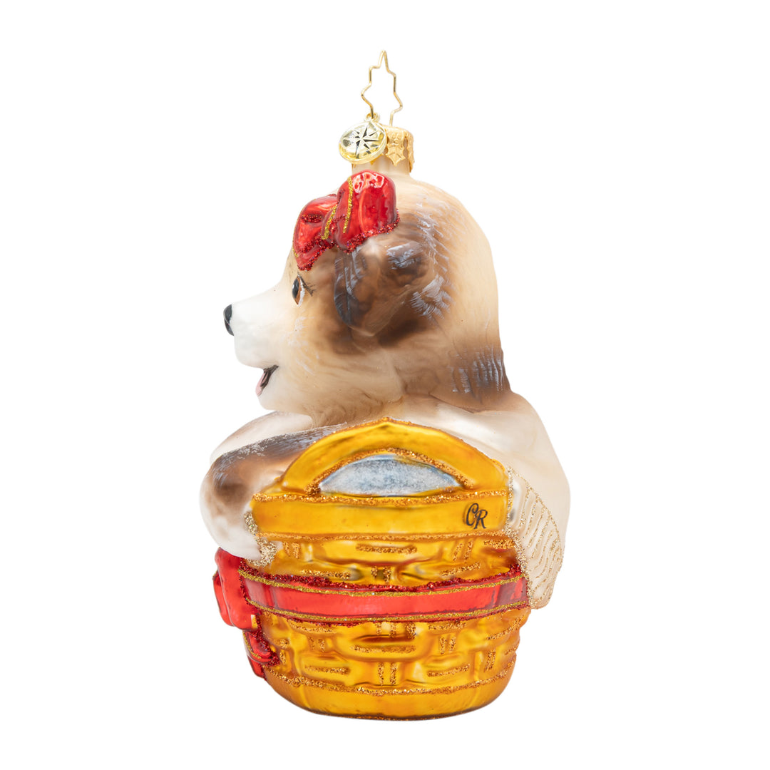 Basket of Hope