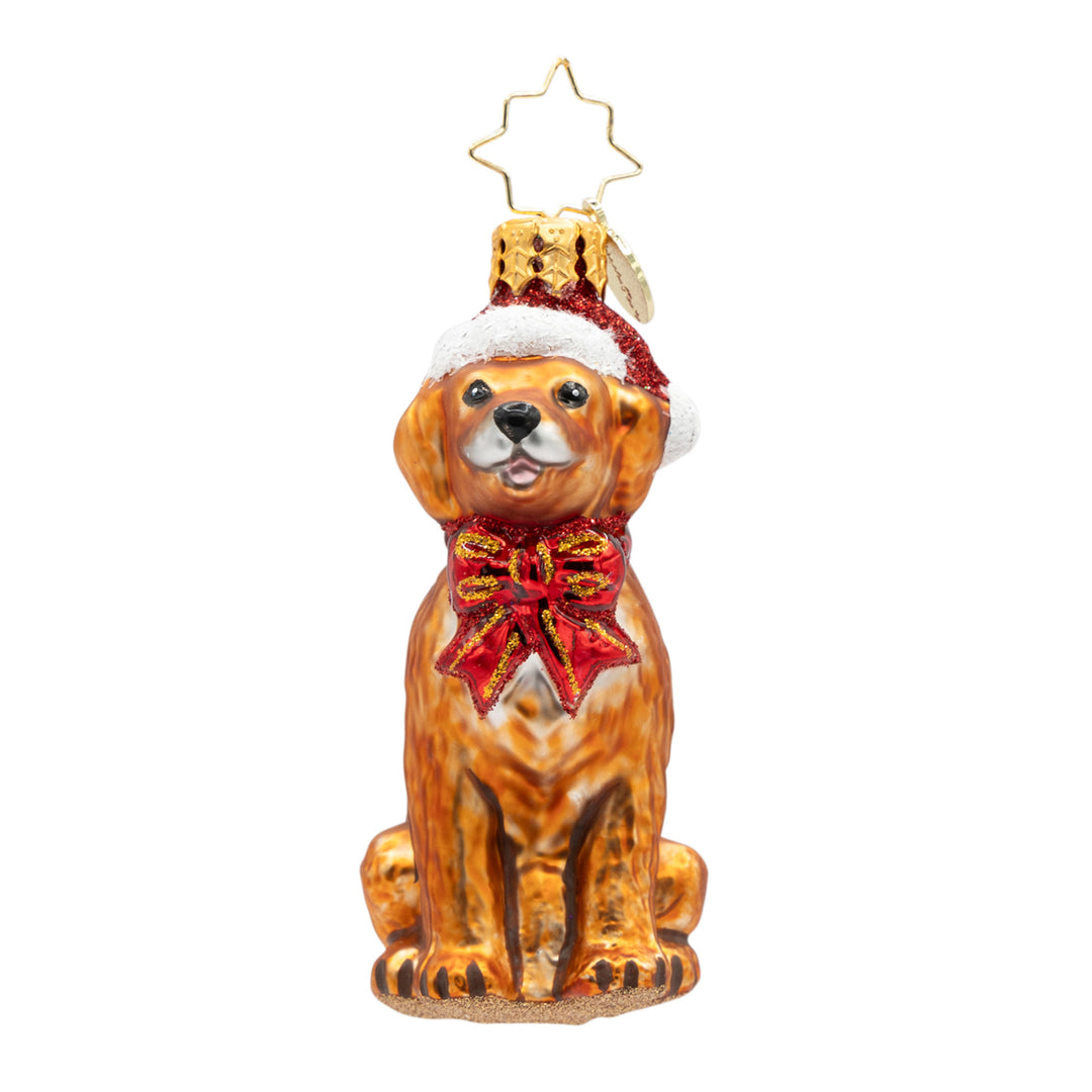 Golden Paws Pal Gem