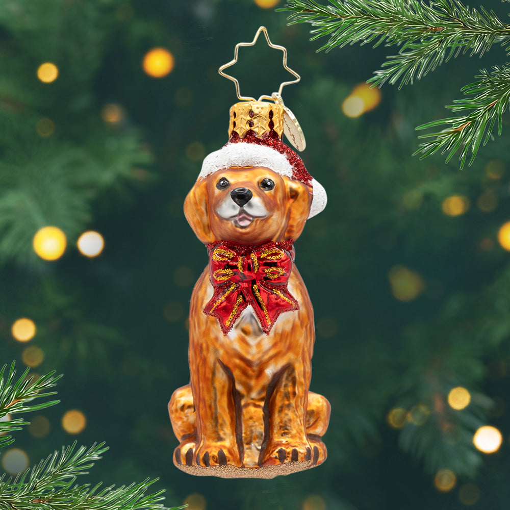 Golden Paws Pal Gem. Ornament of a golden brown Labrador in a red bow and hat. View of front