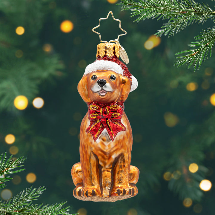 Golden Paws Pal Gem. Ornament of a golden brown Labrador in a red bow and hat. View of front