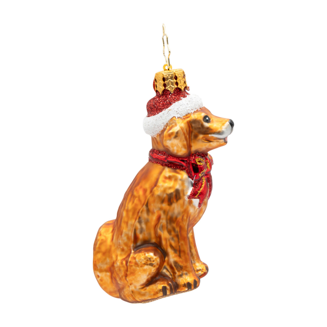 Golden Paws Pal Gem