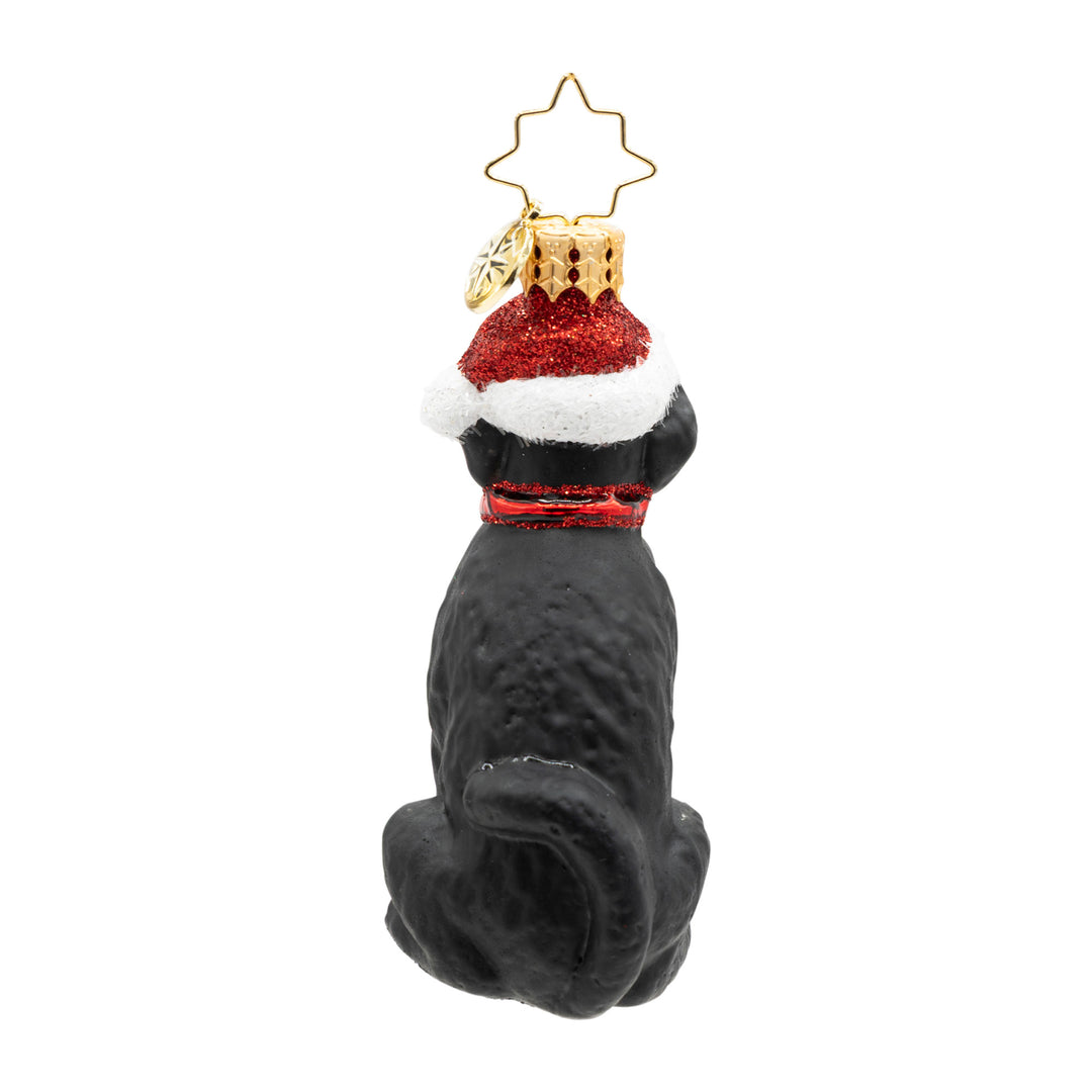 Loyal Lab Gem