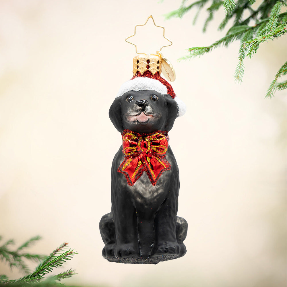 Loyal Lab Gem. Ornament of  black Labrador in a red bow and hat. View of front
