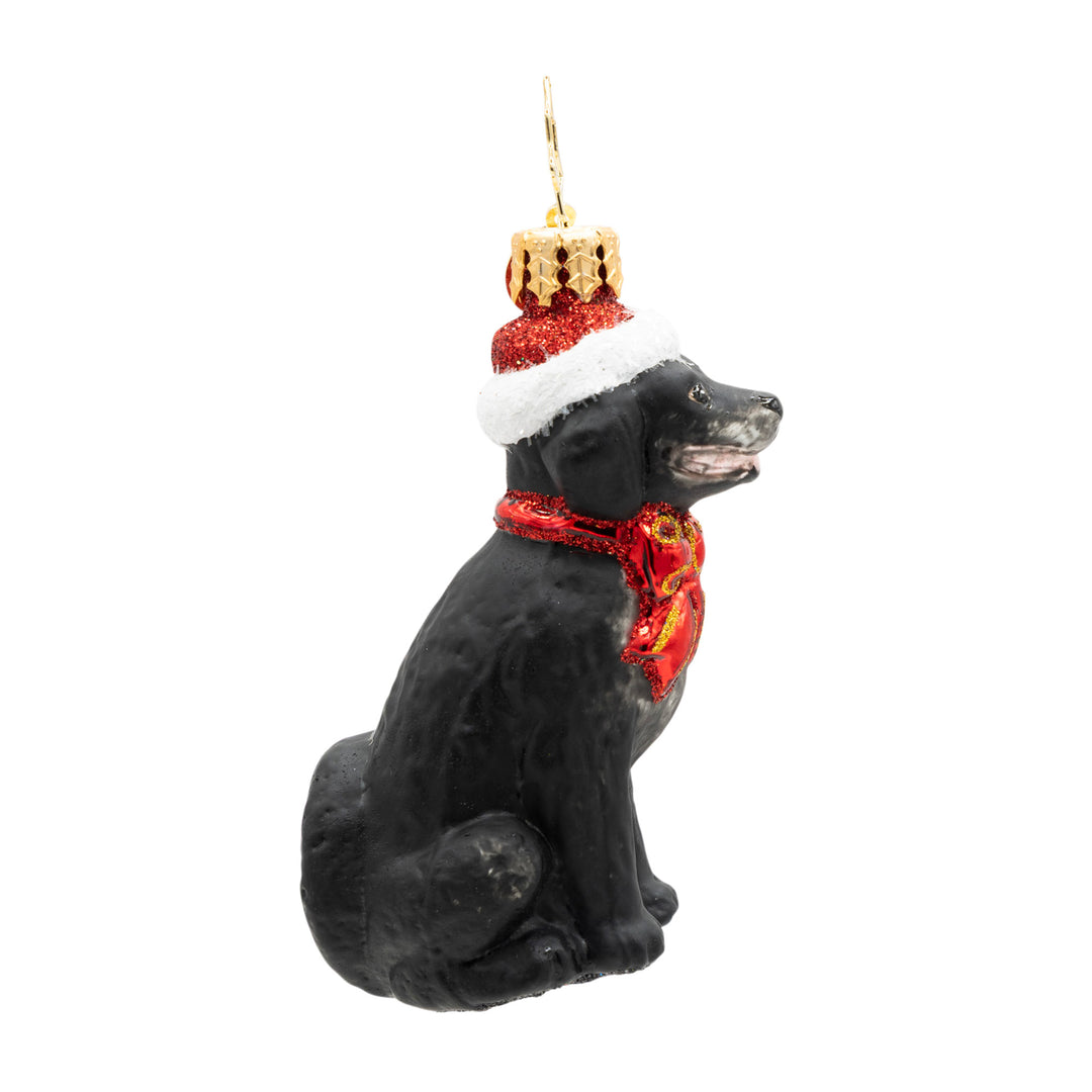 Loyal Lab Gem