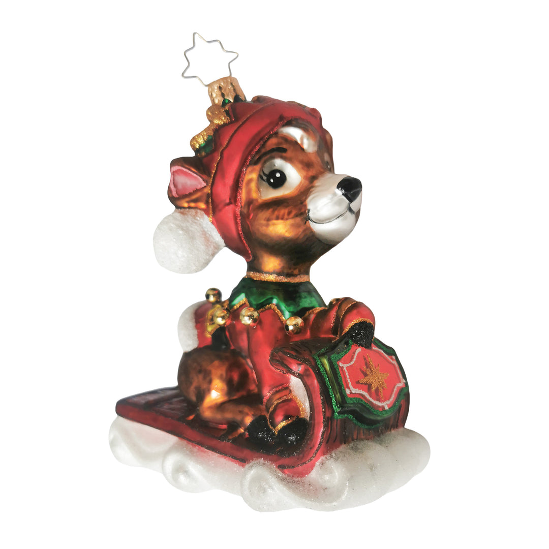 Sledding into the Season