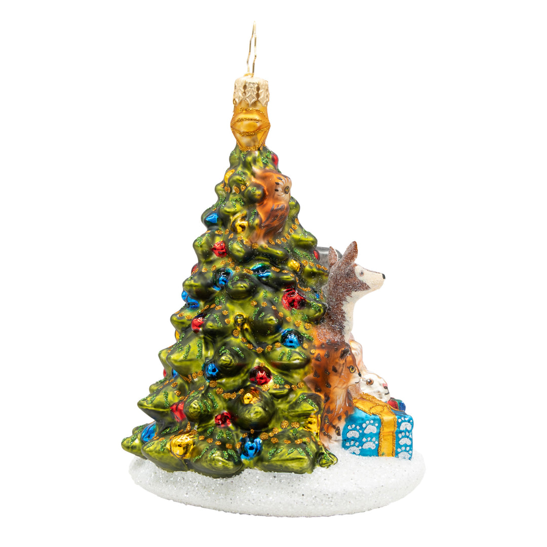 Woodland Celebration