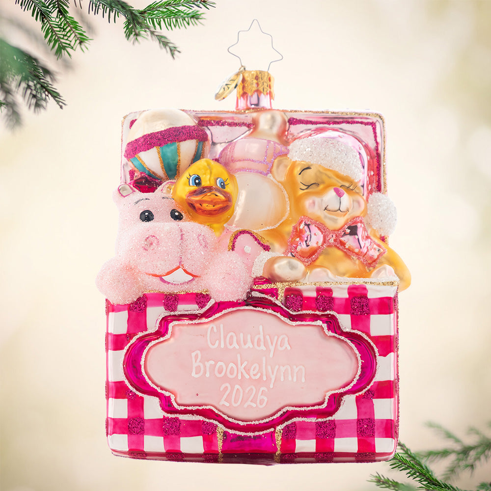 Trunk Of Toys Baby Girl! Personalized