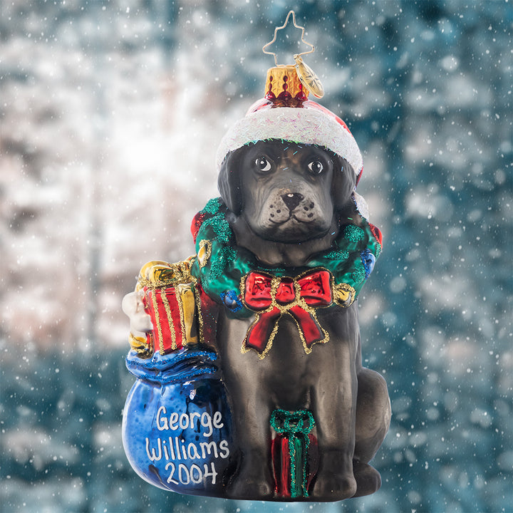 Noble Black Lab Personalized