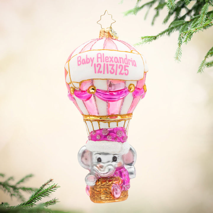 Baby Pink Balloon Adventure Personalized