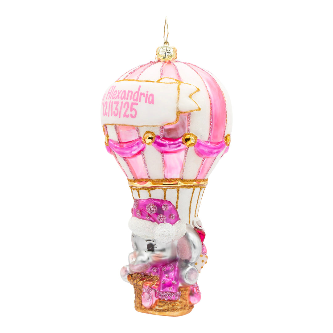 Baby Pink Balloon Adventure Personalized