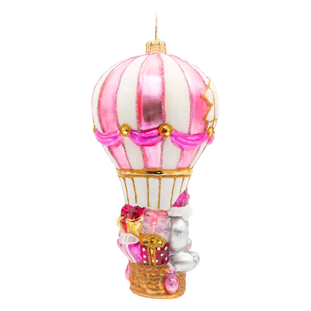 Baby Pink Balloon Adventure Personalized
