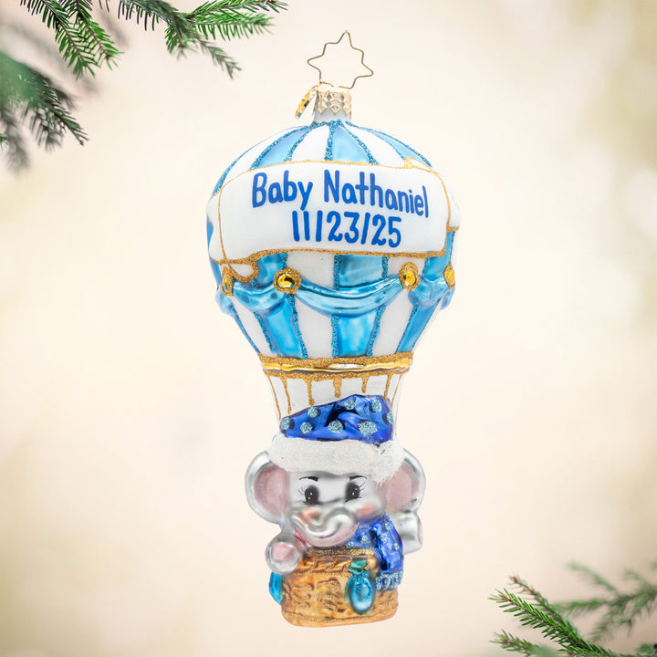 Baby Blue Balloon Adventure Personalized