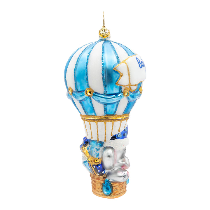 Baby Blue Balloon Adventure Personalized