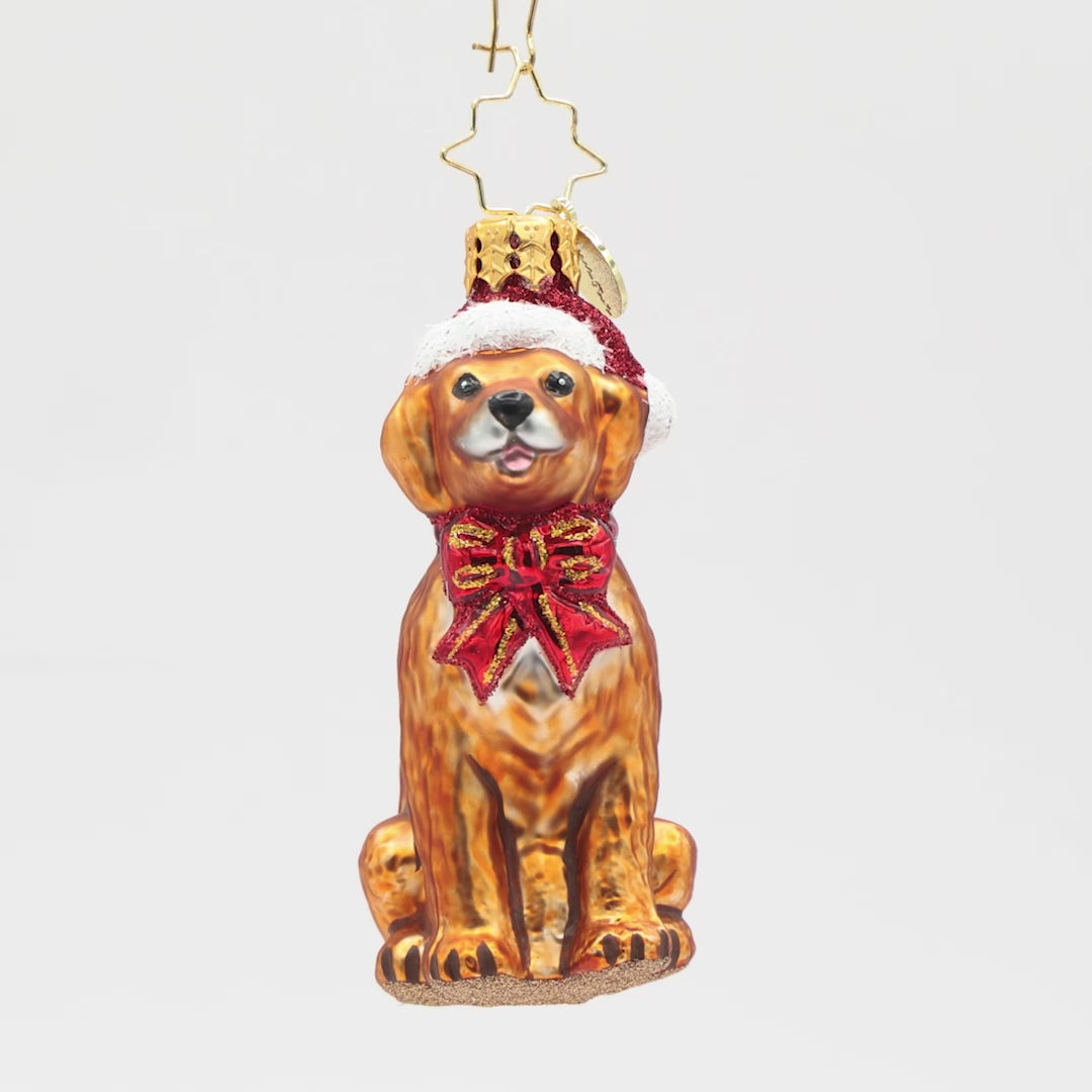 Golden Paws Pal Gem