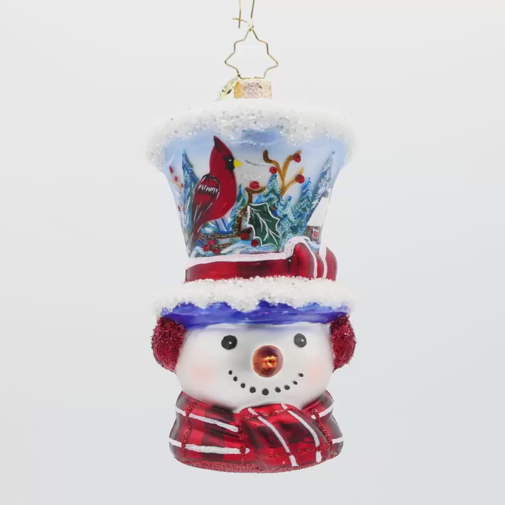 Snowy and the Cardinals